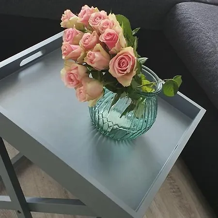 Ferienwohnung Helbersdorf Am Stadtpark Apartman *